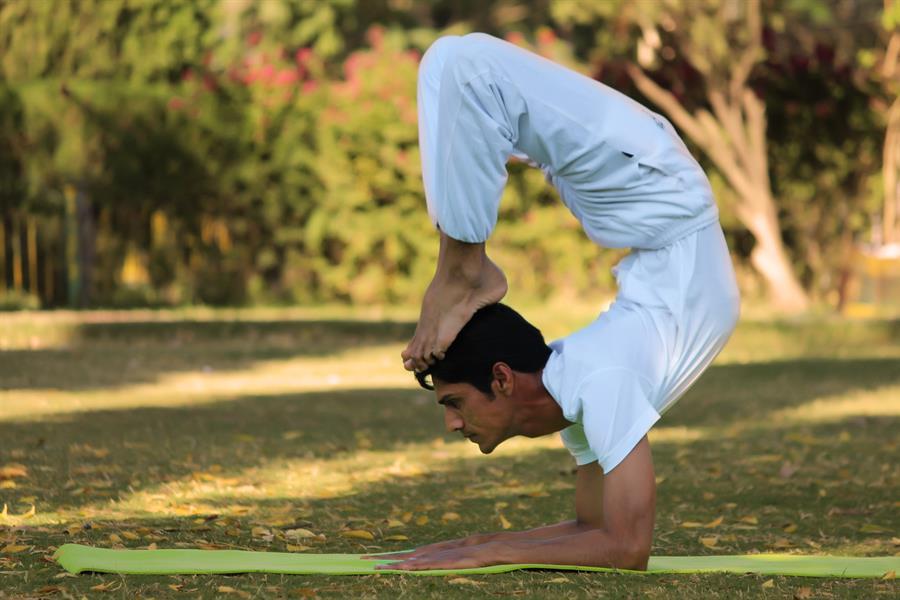 yoga-teacher-training-india-yoga-asana (1)